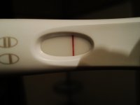 2012-09-20 19.30.02.jpg