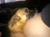 IMG-20120919-00043.jpg