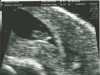7wk3d scan.jpg