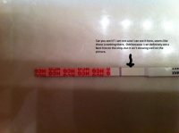 photo (14).jpg