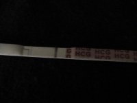 IMG_5056.jpg