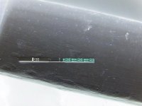 IMG_5054.jpg