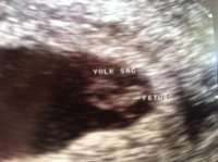 peanut 6 w 1 day.jpg