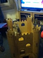 IMG_0199.jpg