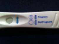 photo (16).jpg