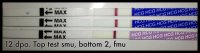 12dpo.jpg