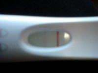 iptest.jpg