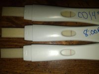 cd 14,14, and 15.jpg