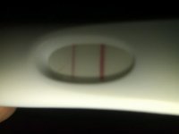 CD 16.jpg