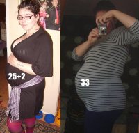 compare.jpg