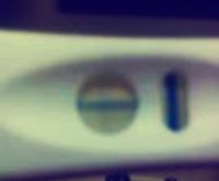 BeFunky_Instant_1.jpg