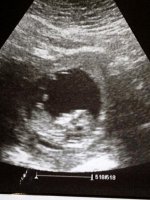 12 weeks.jpg