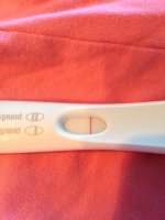 frer.jpg