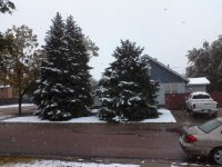 snow.jpg