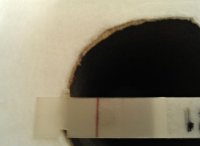 WP_000363.jpg