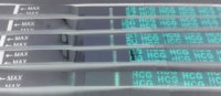 SAM_0636_invert.jpg