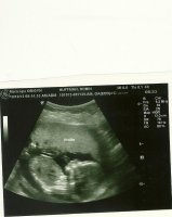 scan0002.jpg