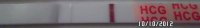 SAM_0659_tweak1.jpg