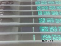SAM_0659_invert.jpg