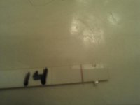 WP_000368.jpg