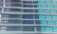 SAM_0672_invert.jpg
