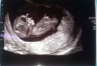 12 weeks.jpg