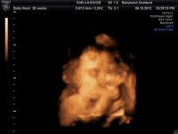 BABY_2 [1024x768].jpg