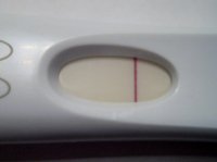 2012-10-15 07.59.17.jpg