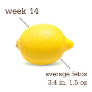 0FDF846E2E7846959E96135BA5F9E0BC.jpg