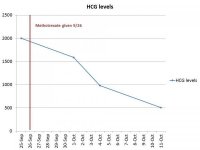 HCG.jpg