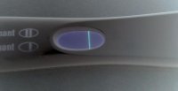 IMG_5324_invert.jpg