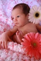 IMG_2701.jpg