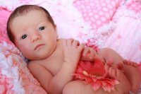 IMG_2819.jpg