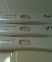 4frer.jpg