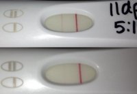 11and12930compare.jpg