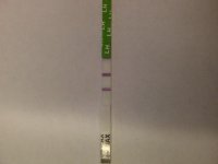 IMG-20121024-00031.jpg