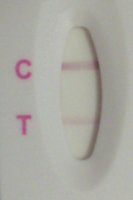 010.jpg