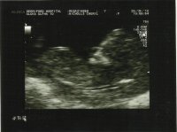 Scan.jpg