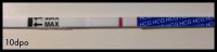 Cycle 9, 10dpo.jpg