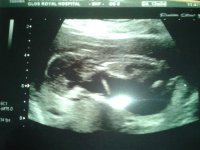 2012-10-31 - 13w3d.jpg