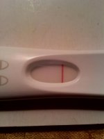 frer.jpg