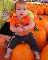 IMG_3206.jpg