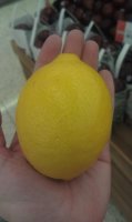 lemon - week 14.jpg