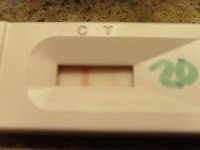 OPK - 11.2.2012.jpg