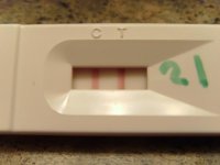 OPK - 11.3.2012.jpg