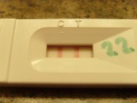 OPK - 11.4.2012.jpg