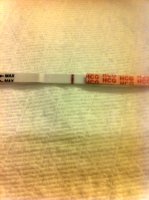 IMG_8269[1].jpg