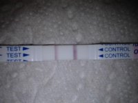 20121105_075521.jpg