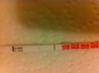 IMG_8278[1].jpg