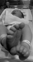 baby toes.jpg